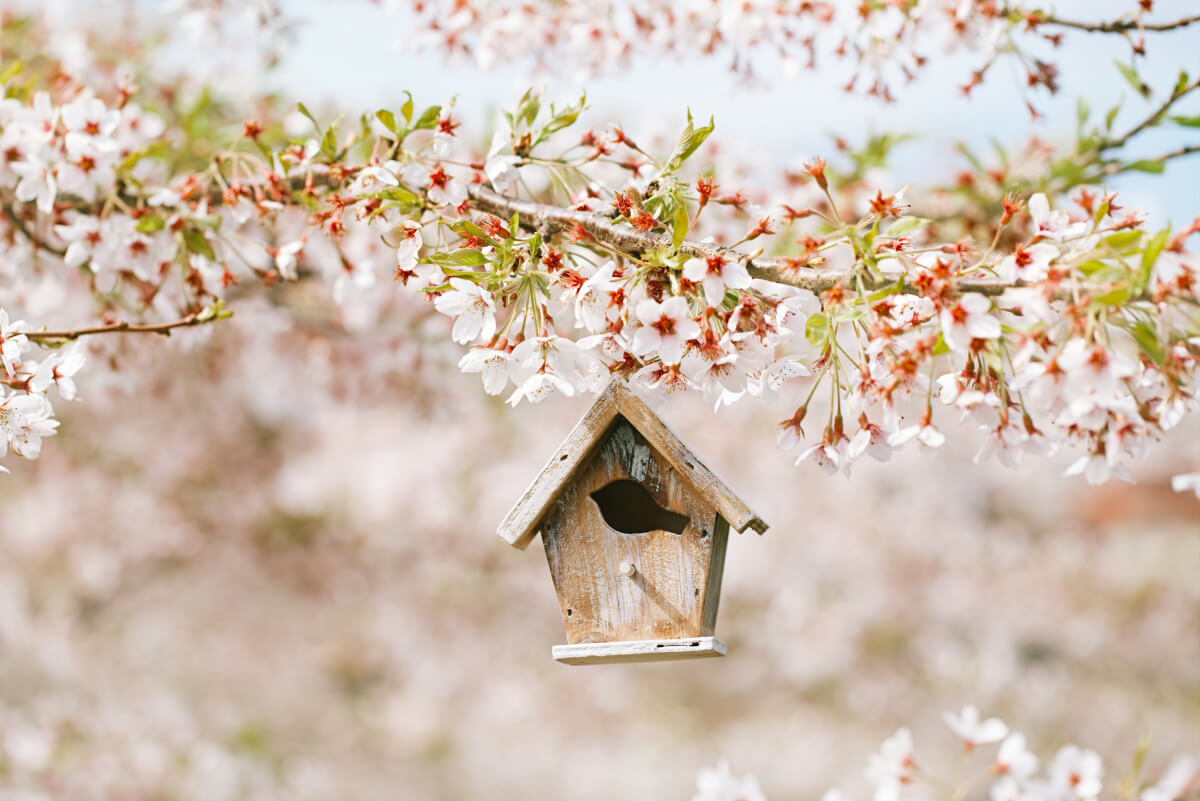 Spring, The Perfect Time To Sell Your Home