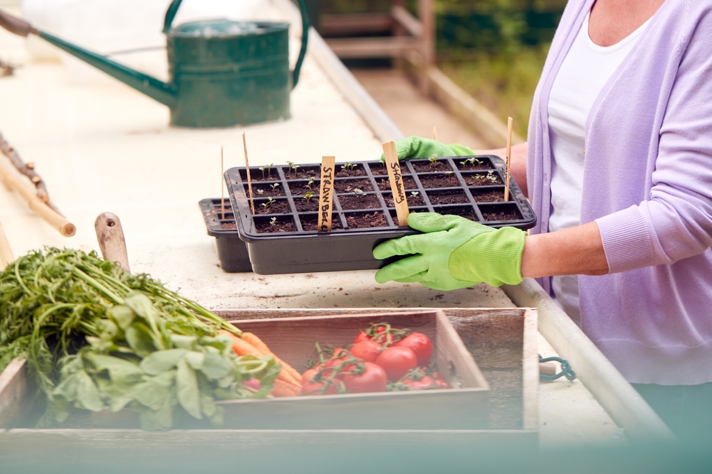 Growing an organic garden in your new home  